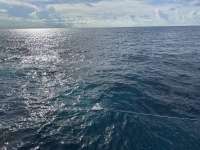 Great day of scuba diving in Key Largo with Rainbow Reef on uscgc duane tropical legend 2023 09 24 r14660 1