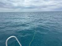 Great day of scuba diving in Key Largo with Rainbow Reef on christ statue tropical serenity 2024 04 04 r15363 1