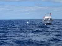 Great day of scuba diving in Key Largo with Rainbow Reef on spiegel grove tropical legend 2024 04 14 r15409 1