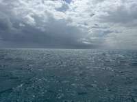 Great day of scuba diving in Key Largo with Rainbow Reef on banana patch tropical destiny 2024 08 31 r16415 1