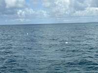 Great day of scuba diving in Key Largo with Rainbow Reef on benwood wreck tropical destiny 2024 08 14 r16296 1