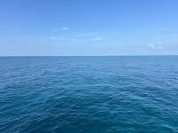 Great day of scuba diving in Key Largo with Rainbow Reef on benwood wreck tropical destiny 2024 08 21 r16355 1