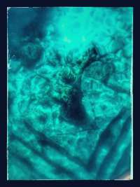 Great day of scuba diving in Key Largo with Rainbow Reef on christ statue tropical odyssey 2024 08 19 r16339 1