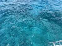 Great day of scuba diving in Key Largo with Rainbow Reef on christmastree cave tropical destiny 2024 08 01 r16204 1