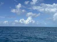 Great day of scuba diving in Key Largo with Rainbow Reef on christmastree cave tropical destiny 2024 08 13 r16287 1