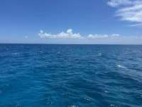 Great day of scuba diving in Key Largo with Rainbow Reef on christmastree cave tropical destiny 2024 08 26 r16386 1