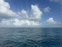 Great day of scuba diving in Key Largo with Rainbow Reef on christmastree cave tropical serenity 2024 08 12 r16278 1