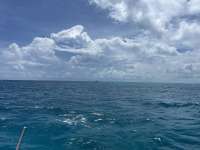 Great day of scuba diving in Key Largo with Rainbow Reef on city of washington tropical odyssey 2024 08 30 r16407 1
