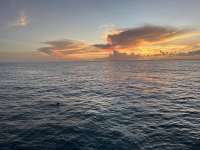 Great day of scuba diving in Key Largo with Rainbow Reef on crf nursery tropical destiny 2024 08 13 r16293 1