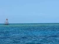Great day of scuba diving in Key Largo with Rainbow Reef on fire coral cave tropical serenity 2024 08 12 r16283 2