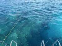 Great day of scuba diving in Key Largo with Rainbow Reef on hole in the wall tropical serenity 2024 08 22 r16360 1