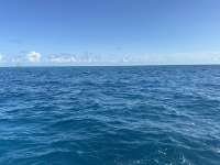 Great day of scuba diving in Key Largo with Rainbow Reef on molasses reef tropical serenity 2024 08 07 r16230 1