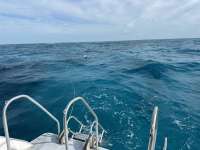 Great day of scuba diving in Key Largo with Rainbow Reef on sand island tropical destiny 2024 08 05 r16215 1