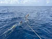 Great day of scuba diving in Key Largo with Rainbow Reef on spiegel grove tropical odyssey 2024 08 22 r16361 1