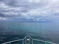Great day of scuba diving in Key Largo with Rainbow Reef on the horseshoe tropical odyssey 2024 08 18 r16331 1