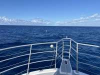 Great day of scuba diving in Key Largo with Rainbow Reef on uscgc duane tropical odyssey 2024 08 08 r16244 1