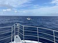 Great day of scuba diving in Key Largo with Rainbow Reef on uscgc duane tropical odyssey 2024 08 09 r16251 1