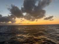 Great day of scuba diving in Key Largo with Rainbow Reef on benwood wreck tropical odyssey 2024 12 07 r17069 1