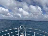 Great day of scuba diving in Key Largo with Rainbow Reef on benwood wreck tropical serenity 2024 12 17 r17120 1