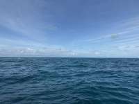 Great day of scuba diving in Key Largo with Rainbow Reef on christ statue tropical serenity 2024 12 25 r17178 1
