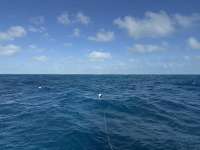 Great day of scuba diving in Key Largo with Rainbow Reef on christmastree cave tropical destiny 2024 12 17 r17116 1