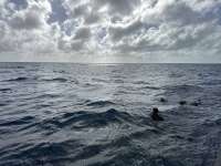 Great day of scuba diving in Key Largo with Rainbow Reef on christmastree cave tropical destiny 2024 12 17 r17121 1