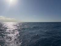 Great day of scuba diving in Key Largo with Rainbow Reef on christmastree cave tropical odyssey 2024 12 02 r17044 1