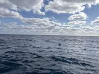 Great day of scuba diving in Key Largo with Rainbow Reef on christmastree cave tropical odyssey 2024 12 08 r17074 1