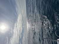 Great day of scuba diving in Key Largo with Rainbow Reef on city of washington tropical odyssey 2024 12 26 r17185 1