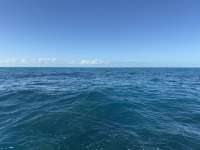 Great day of scuba diving in Key Largo with Rainbow Reef on double north tropical legend 2024 12 18 r17127 1