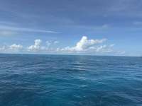 Great day of scuba diving in Key Largo with Rainbow Reef on fire coral cave tropical serenity 2024 12 30 r17220 1