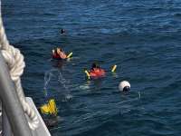 Great day of scuba diving in Key Largo with Rainbow Reef on french reef tropical legend 2024 12 31 r17232 1