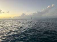 Great day of scuba diving in Key Largo with Rainbow Reef on molasses reef tropical serenity 2024 12 19 r17134 1