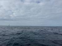 Great day of scuba diving in Key Largo with Rainbow Reef on nine channel tropical destiny 2024 12 10 r17091 1