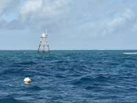 Great day of scuba diving in Key Largo with Rainbow Reef on nine channel tropical destiny 2024 12 18 r17123 1