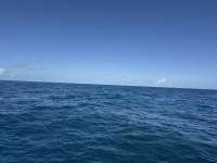 Great day of scuba diving in Key Largo with Rainbow Reef on nine channel tropical destiny 2024 12 18 r17126 1