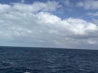 Great day of scuba diving in Key Largo with Rainbow Reef on nine channel tropical legend 2024 12 13 r17104 1