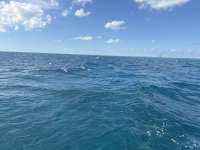 Great day of scuba diving in Key Largo with Rainbow Reef on nine channel tropical serenity 2024 12 04 r17050 1