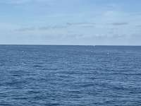 Great day of scuba diving in Key Largo with Rainbow Reef on nine channel tropical serenity 2024 12 05 r17059 1
