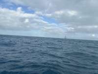 Great day of scuba diving in Key Largo with Rainbow Reef on nine channel tropical serenity 2024 12 16 r17109 1
