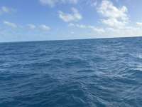 Great day of scuba diving in Key Largo with Rainbow Reef on nine channel tropical serenity 2024 12 17 r17115 1