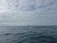 Great day of scuba diving in Key Largo with Rainbow Reef on north star tropical destiny 2024 12 10 r17088 1