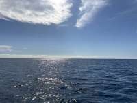 Great day of scuba diving in Key Largo with Rainbow Reef on sand bottom cave tropical serenity 2024 12 06 r17062 1