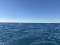 Great day of scuba diving in Key Largo with Rainbow Reef on spiegel grove tropical destiny 2024 12 21 r17150 1