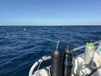 Great day of scuba diving in Key Largo with Rainbow Reef on spiegel grove tropical odyssey 2024 12 01 r17033 1