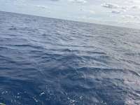Great day of scuba diving in Key Largo with Rainbow Reef on spiegel grove tropical odyssey 2024 12 05 r17055 1