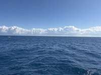 Great day of scuba diving in Key Largo with Rainbow Reef on spiegel grove tropical odyssey 2024 12 07 r17067 1