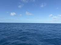 Great day of scuba diving in Key Largo with Rainbow Reef on spiegel grove tropical serenity 2024 12 11 r17093 1