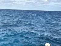 Great day of scuba diving in Key Largo with Rainbow Reef on turtle ledges tropical odyssey 2024 12 08 r17075 1