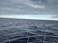 Great day of scuba diving in Key Largo with Rainbow Reef on uscgc duane tropical odyssey 2024 12 24 r17172 1